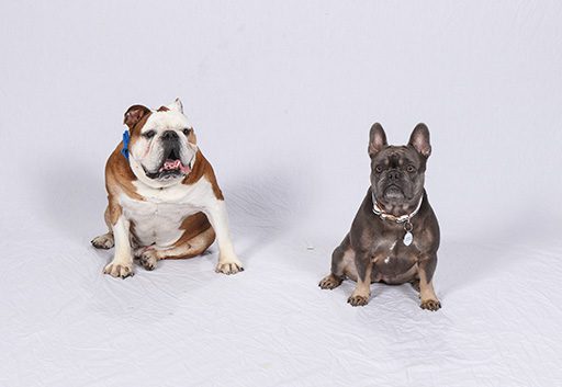 Tripp & Lola