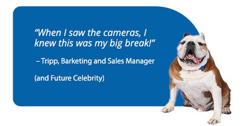 "When I saw the cameras, I knew this was my big break!"
-Tripp